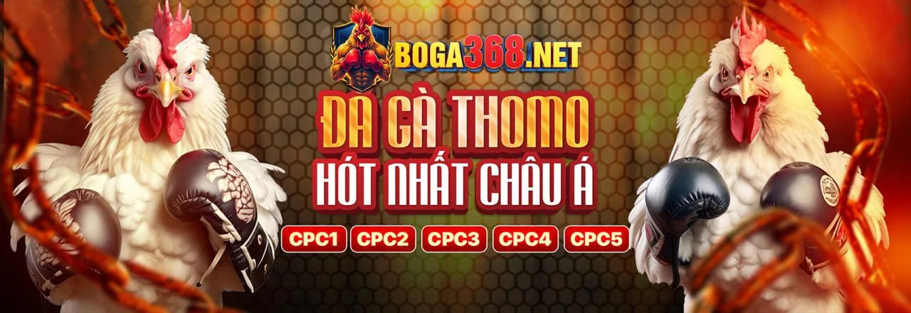 Địa chỉ đăng nhập MN88 Login mới nhất 2026